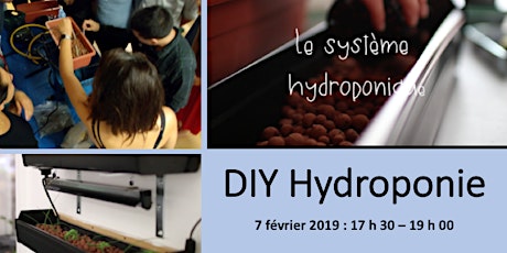 DIY - Hydroponie primary image