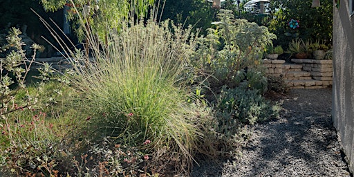 Primaire afbeelding van Fire-Resilient Gardens: A Maintenance Walk and Talk with Erik Blank