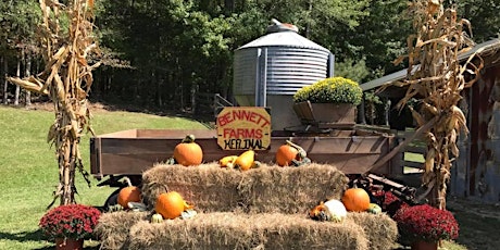 Bennett Farms Pumpkin Patch