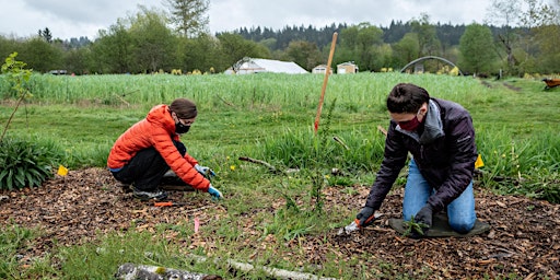 Imagen principal de Volunteer at 21 Acres: Farm Stewardship