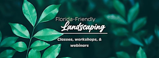 Collection image for Florida-Friendly Landscaping™