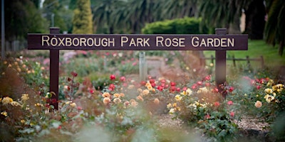 Queen Elizabeth II Memorial Rose Garden Volunteering