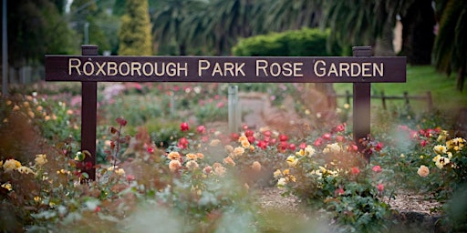 Queen Elizabeth II Memorial Rose Garden Volunteering  primärbild