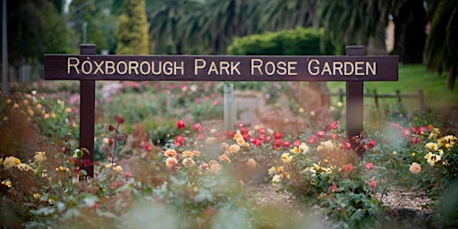 Imagen principal de Queen Elizabeth II Memorial Rose Garden Volunteering