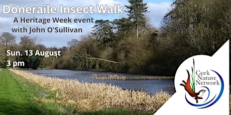 Imagem principal do evento Doneraile Insect Walk