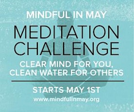 Mindful in May Launch - global meditation campaign for social good primary image