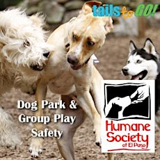 Dog Park & Group Play Safety (HSEP) primary image