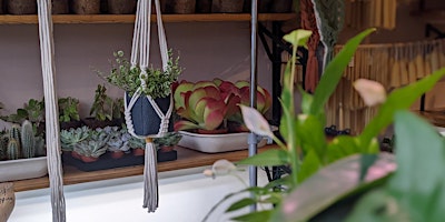 Primaire afbeelding van Macrame Plant Hanger Workshop at The Floristry School