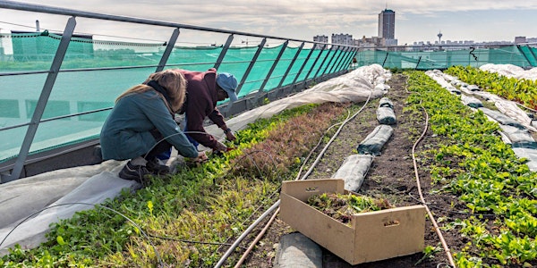 Conférence : Agriculture Urbaine et Alimentation au service de l'Insertion