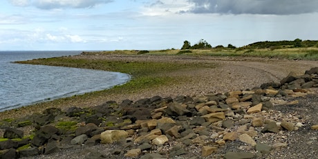 East Lothian Coastal Cleanup: Morrison's Haven