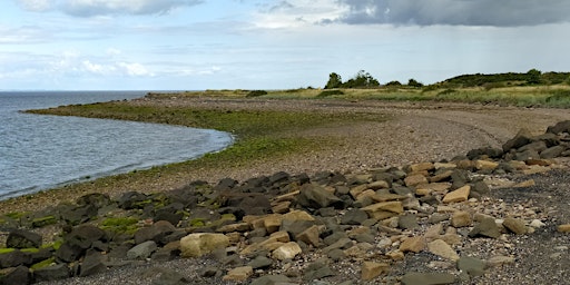 Imagem principal do evento East Lothian Coastal Cleanup: Morrison's Haven