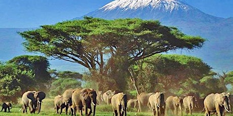 Présentation voyage Safari Kenya primary image