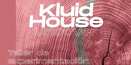 Imagen principal de Kluid House: taller de experimentación creativa con Àrtidi