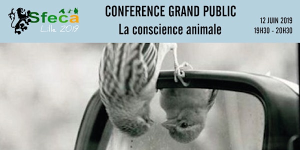Conférence grand public : la conscience animale