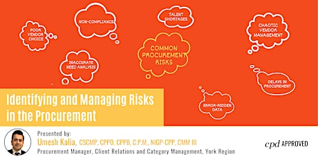 Identifying and Managing Risks in Procurement