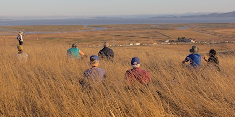 Summer Sunset Hike - Sears Point Ranch 8-17-23 primary image