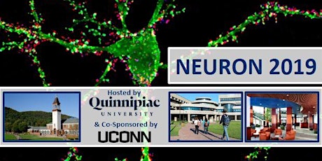 2019 NEURON Conference at Quinnipiac University primary image