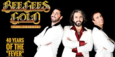 Imagem principal de Bee Gees Gold The Tribute