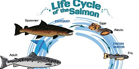 Science in the Valley: Salmon Home Learner Registration May 2019 primary image