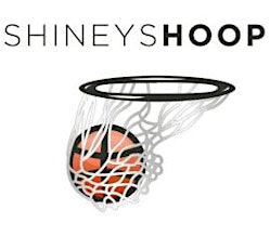 Shineyshoop Basketball 30 minute sessions primary image