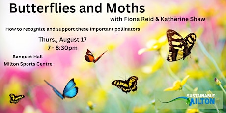 Butterflies & Moths: How to recognize and support critical pollinators primary image