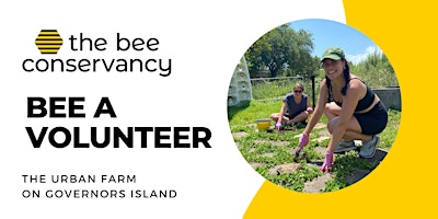 Primaire afbeelding van Bee a Volunteer @ The Bee Conservancy on Governors Island