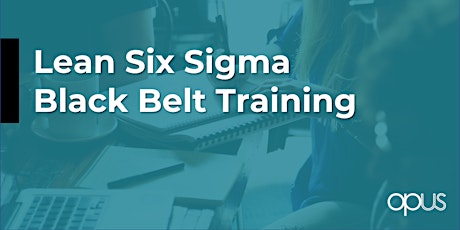 Lean Six Sigma Black Belt primary image