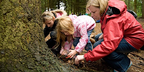 Outdoor Learning - TeachMeet primary image