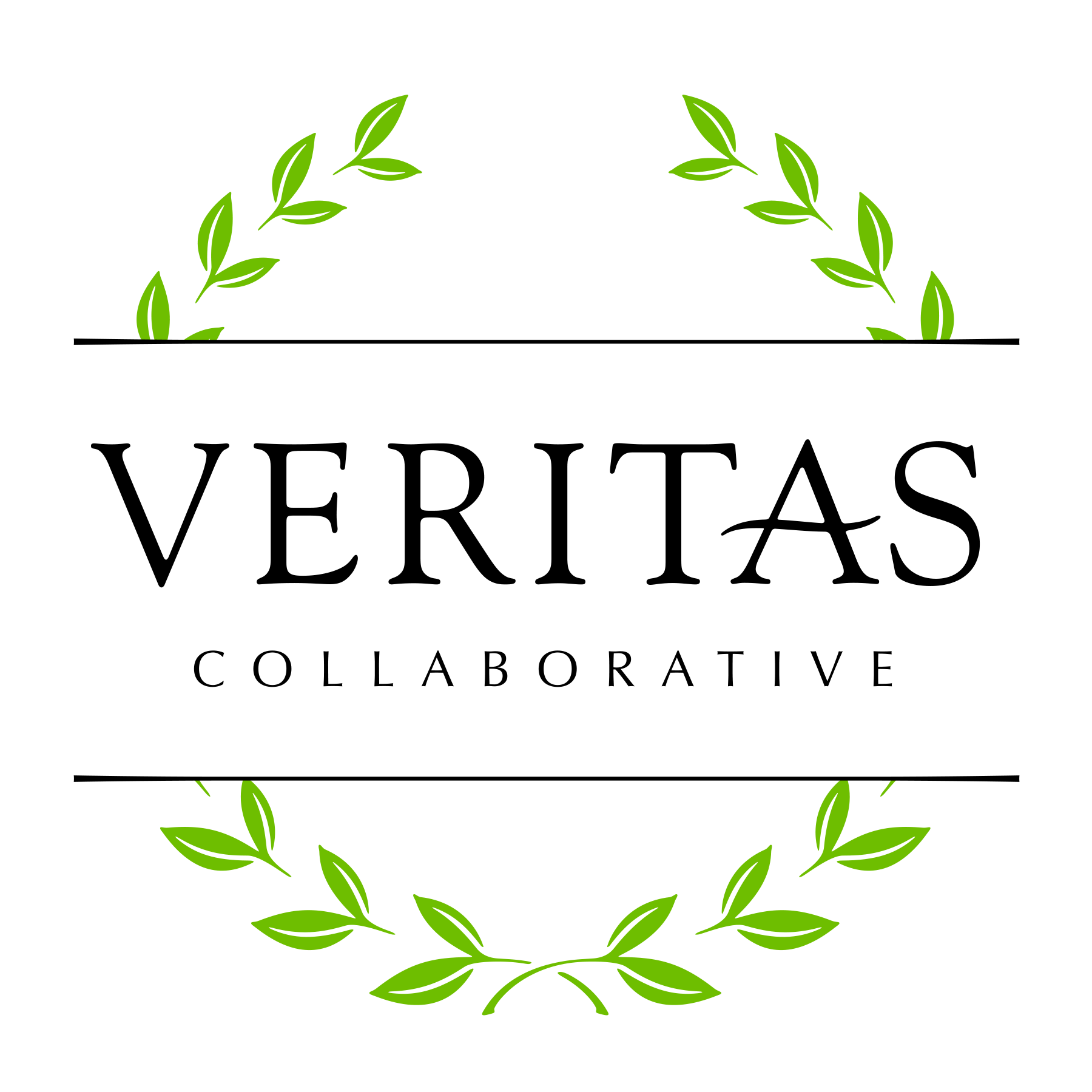 Veritas Collaborative - Atlanta Healthcare Professionals Career Event
