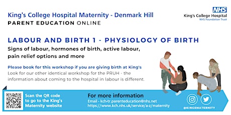 King's Maternity Antenatal Workshop 1: Physiology of Labour and Birth  primärbild