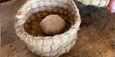 Cattail baskets  ~ Paniers de quenouilles primary image