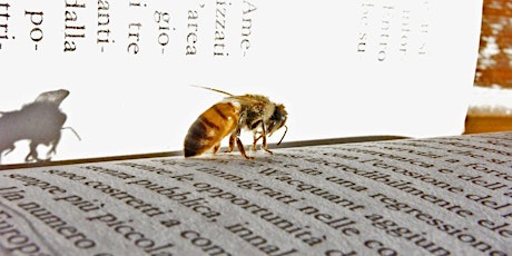 Bee Book Club primary image
