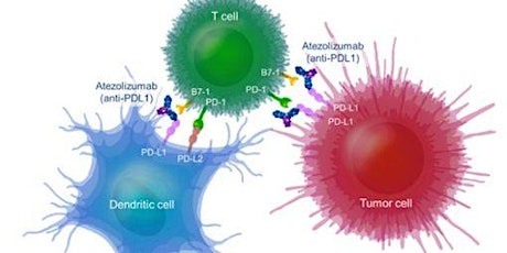 Tecentriq in First Line Metastatic Lung Cancer  primary image