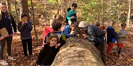 Friends in the Forest:  An After School Nature Club primary image