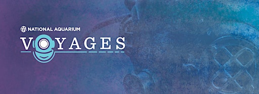 Collection image for Voyages