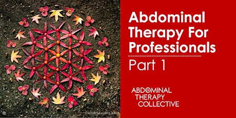 Abdominal Therapy for Profesionals Part 1