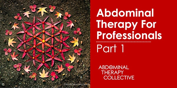 Abdominal Therapy for Profesionals Part 1