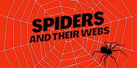 Image principale de Spiders and their Webs