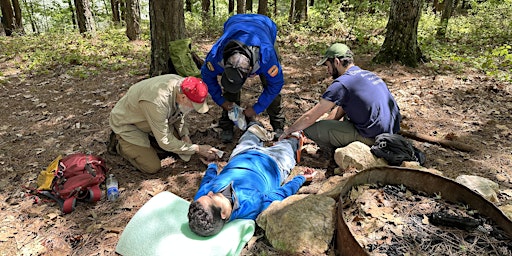 Primaire afbeelding van SOLO Wilderness First Aid Course