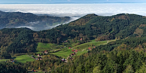 Magical Summer of Hiking in Black Forest