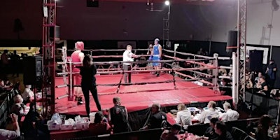 Primaire afbeelding van Cailen Vilness Memorial Boxing Championship