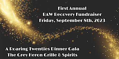 The RAW Fundraising Gala primary image