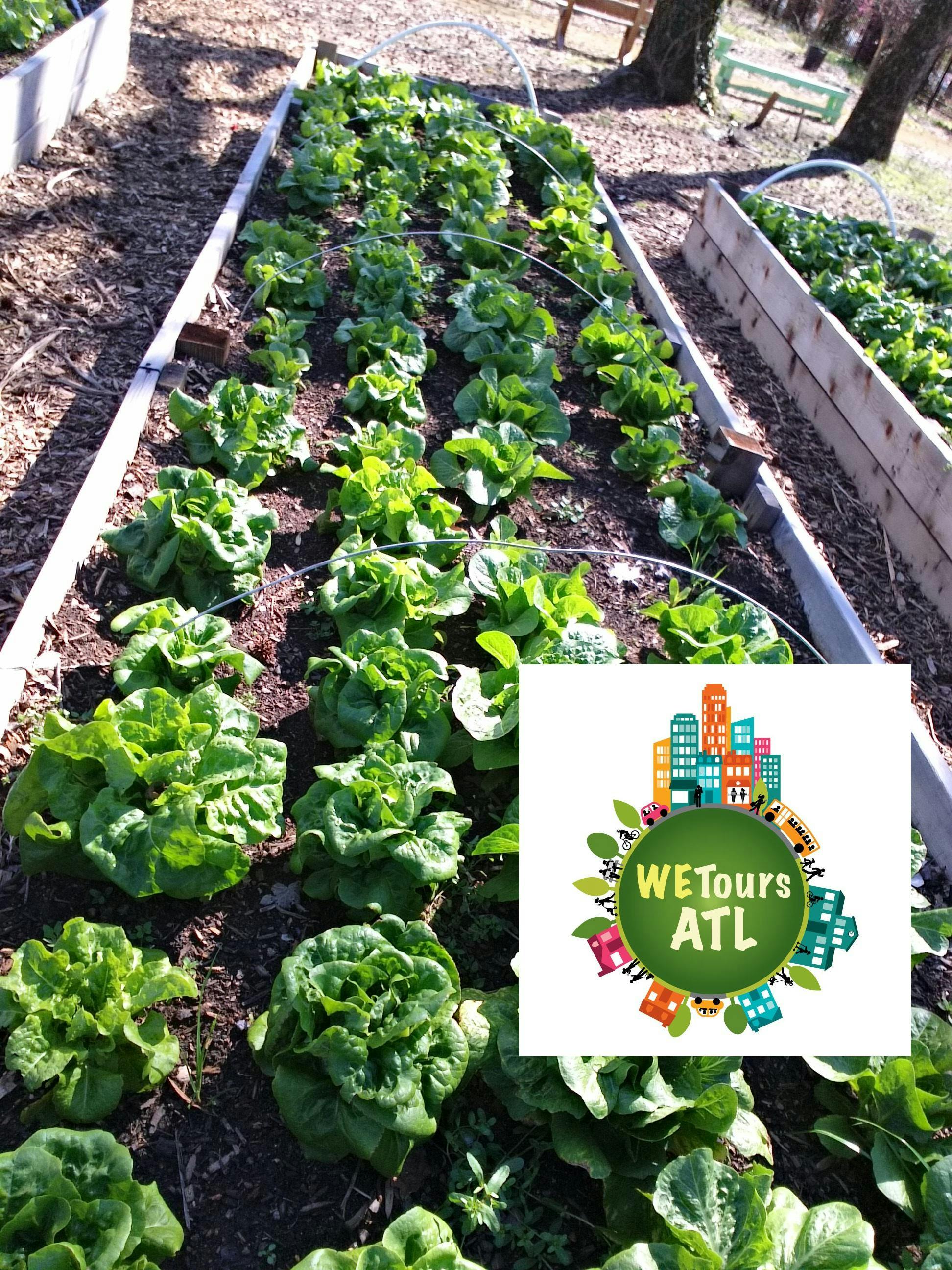 Farms In Living Color - FREE Urban Farms Walking Tours (WEToursATL)