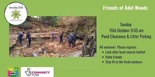 Imagen principal de Pond Clearance and Litter picking- Friends of Adel Woods