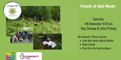 Bog Clean Up and Litter Pick - Friends of Adel Woods primary image