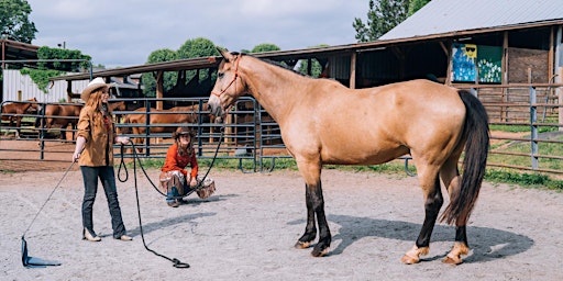 Student of the Horse: A Foundation Course to Natural Horsemanship primary image