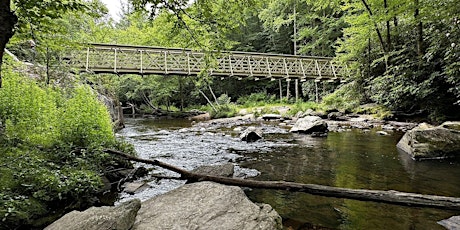 North Carolina*52 Hike Challenge SC*Boone Fork Trail Julian Loop Price Park primary image