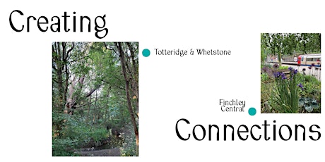 Creating Connections: Whetstone to Finchley primary image