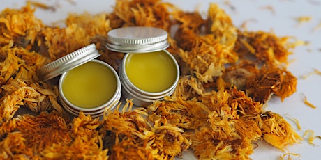 Salves and Self Love - A DIY Salve and Balm Making Event primary image