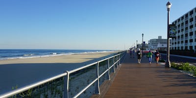 The Endless Summer Walk 2019